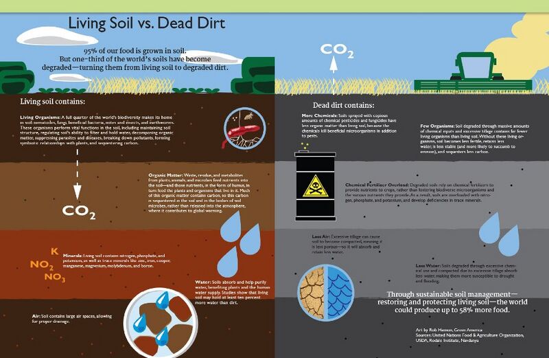 File:Soil-vs-dirt-infographic.jpg