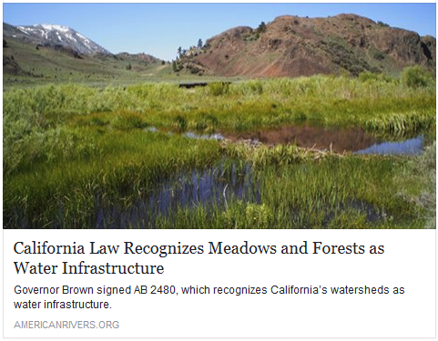 AB 2480 Meadows and Forest Water Infrastructure.png
