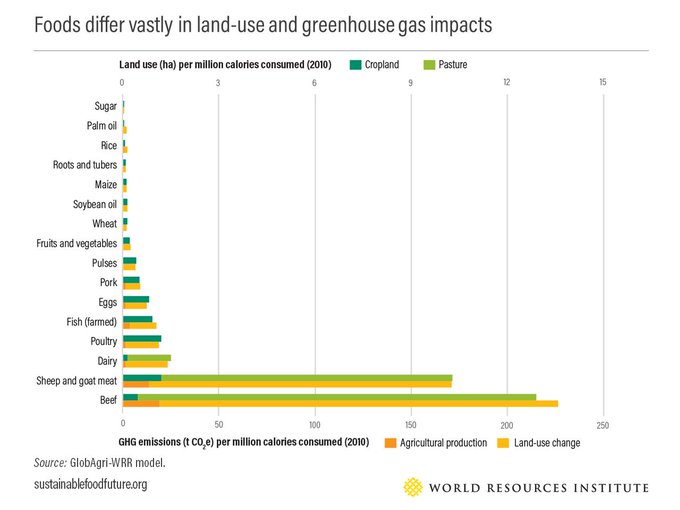 Ag production and GHG emissions.jpg