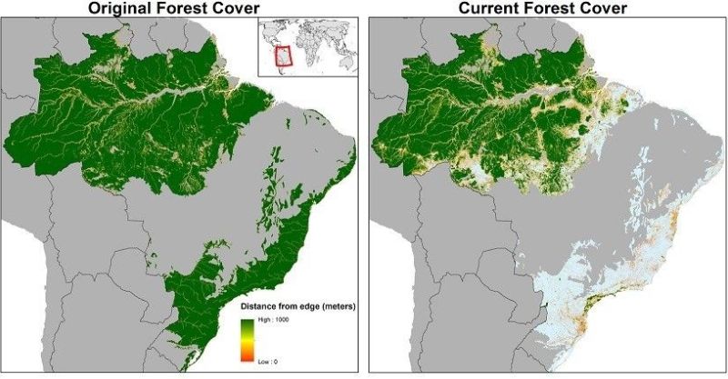 Amazon deforestation timeline.jpg