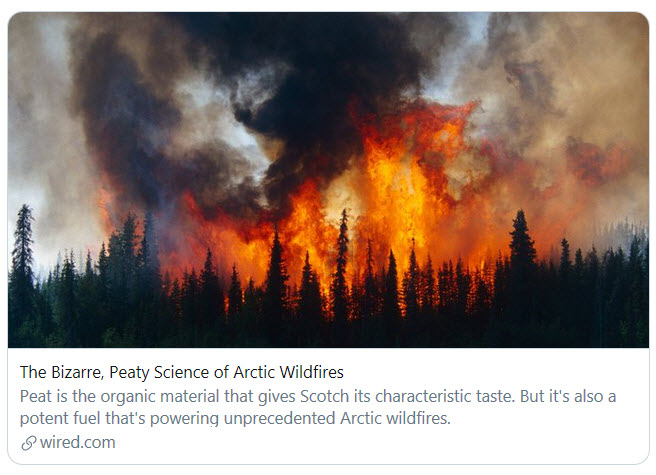 Arctic wildfires-July 2019.jpg