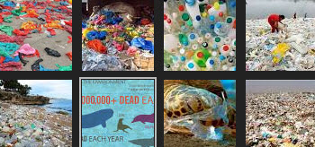 Ban on Plastic Bags approved in Calif.jpg