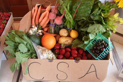 CSA Community Supported Agriculture practices.jpg
