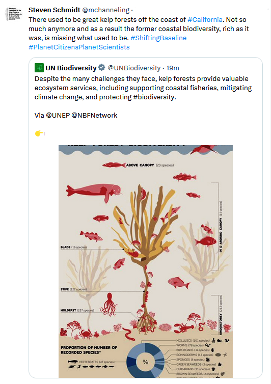 California's kelp forests and coastal biodiversity diminished.png