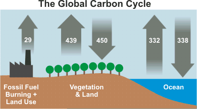 Carbon Cycle Numbers-Source IPCC AR4.gif