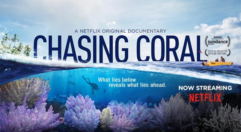 File:Chasing Coral.jpg