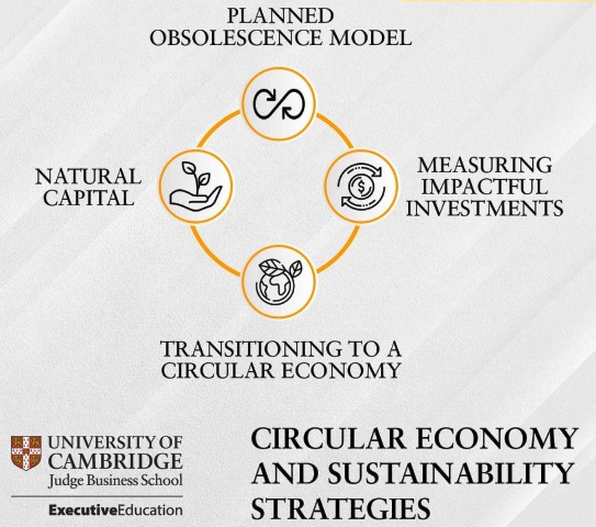 Circular Economy - Sustainable Strategies.png