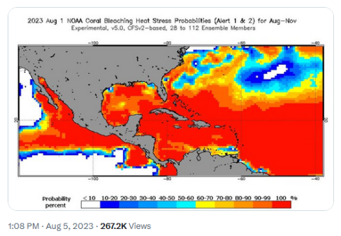 Coral bleaching - NOAA - August 2023.png