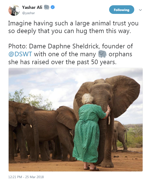 DSWT-Daphne hugging elephant adoptee.png