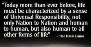 Dalai Lama on Our Responsibility.png