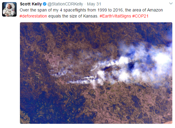 File:Deforestation from above Scott Kelly.png