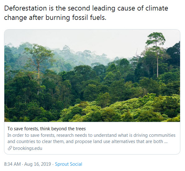 File:Deforestation no.jpg