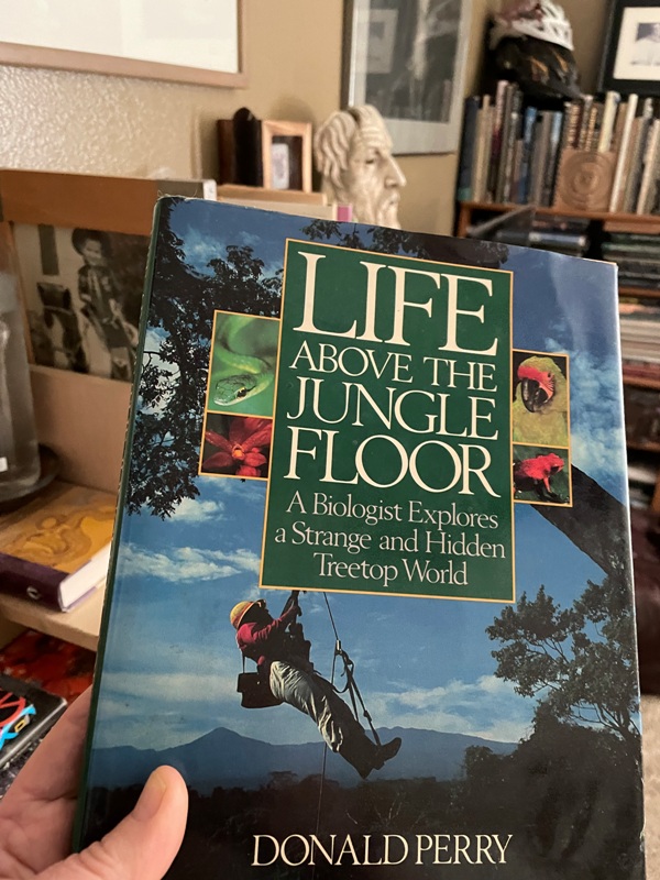 Don Perry, Life Above the Jungle Floor.jpg