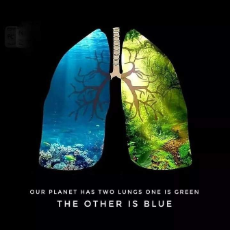 Earths two lungs.png