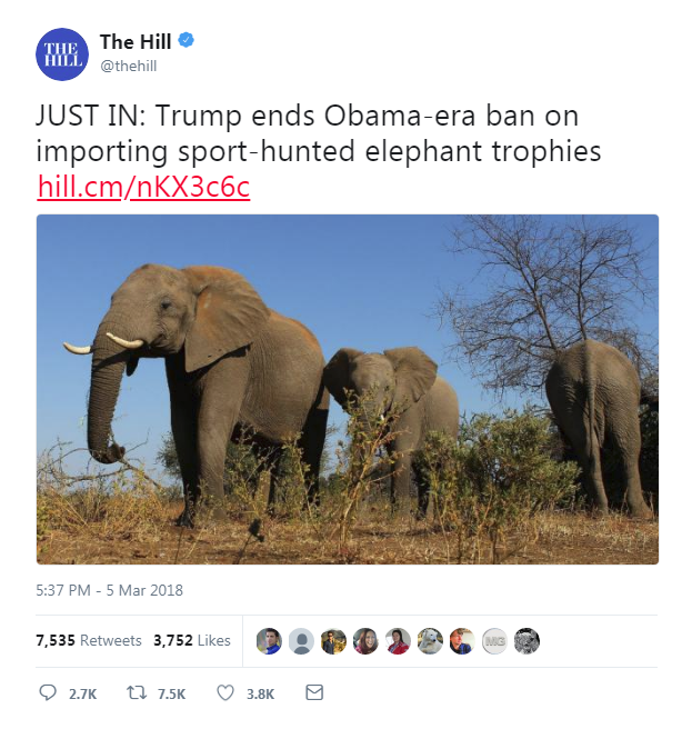 Elephant trophies.png
