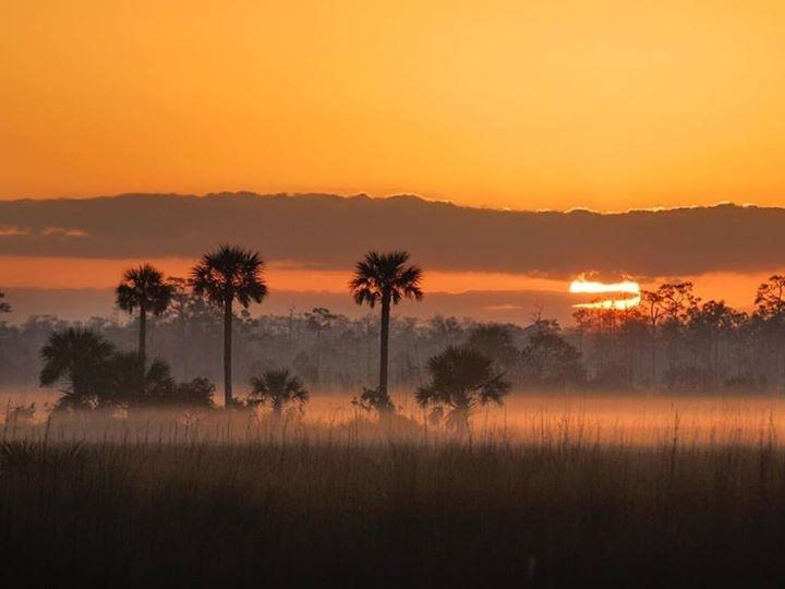 Everglades at Sunrise 2016.jpg