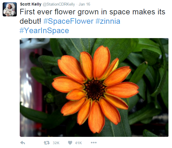 File:First ever flower grown in space.png