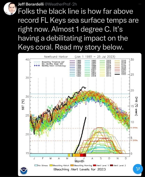 Florida Keys sea surface temps for 2023 (as of July).png