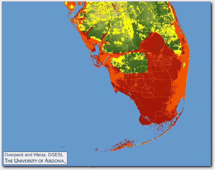 File:Florida sea level UofA study.gif