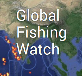 Global Fishing Watch 2.jpg