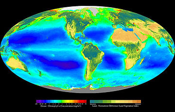 File:Global biosphere image NASA-Goddard.jpg