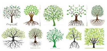 Green Branching Out-2.jpg