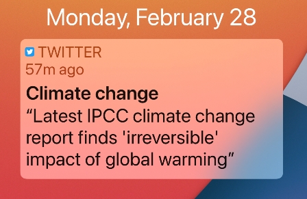 IPCC Report - Feb 2022.jpg