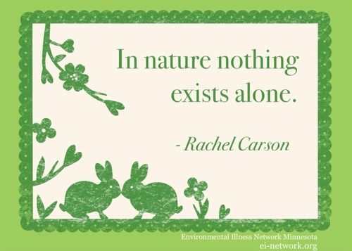 In nature, nothing exists alone.jpg