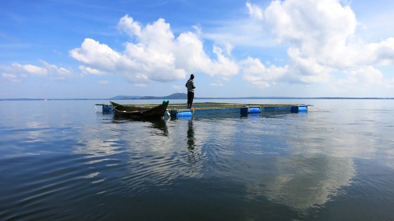 File:Lake Victoria Aquaculture.jpg