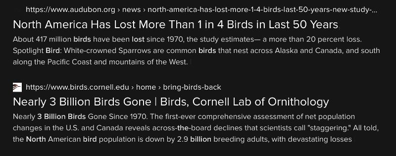Loss of N American Birds - 3.jpg
