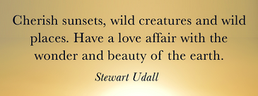 Love... the wonder and beauty of the earth - Stewart Udall, the Politics of Beauty.png