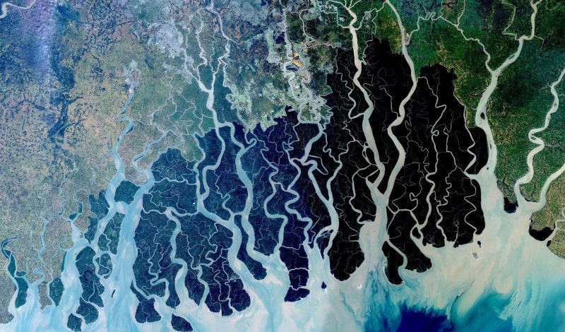 Macroscope NASA Bangladesh.jpeg