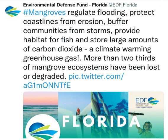Mangroves regulate flooding - EDF.png