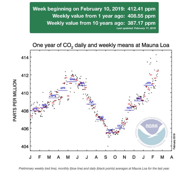 Mauna Loa - CO2 - Feb2019.jpg