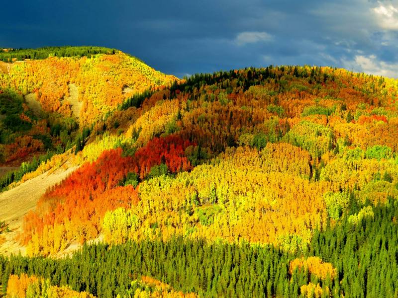 Molas Pass, Colorado Photo courtesy of Reg Larkin Sept 2016 800x600.jpg