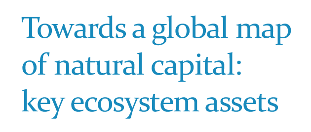 Natural Capital assets mapping UN.png