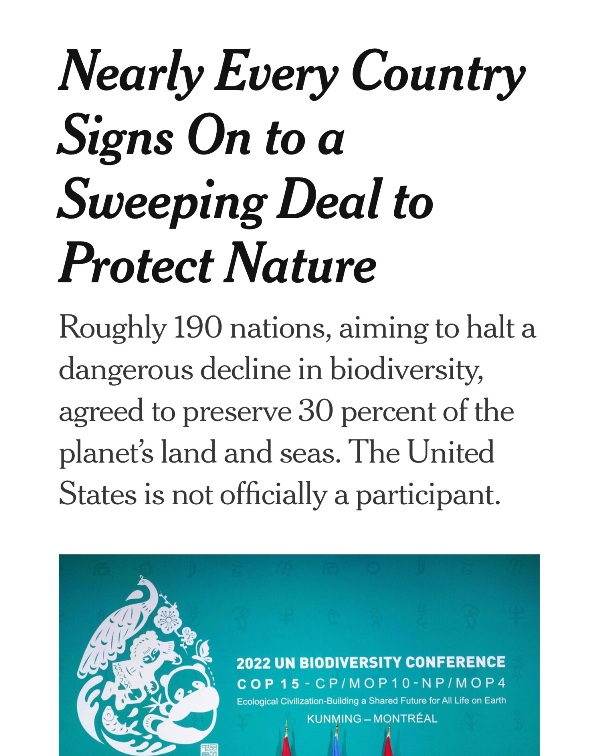 Nearly Every Country Signs On to a Sweeping Deal to Protect Nature.png