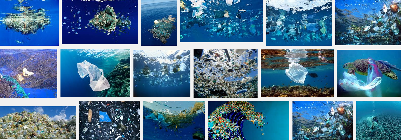Ocean Pollution w Plastic-800x280.png