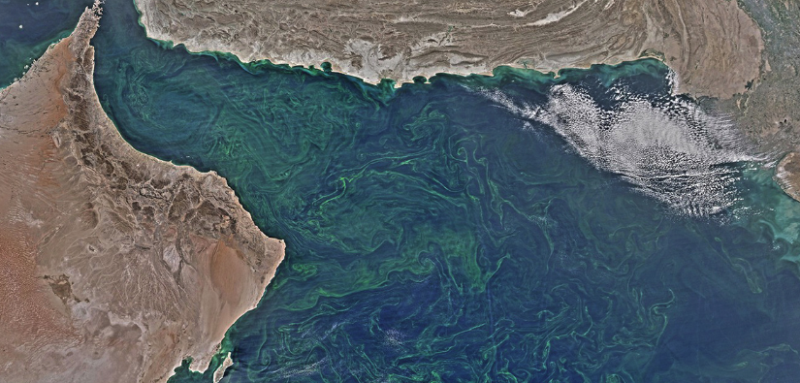 File:Oceans losing oxygen-NASA.png