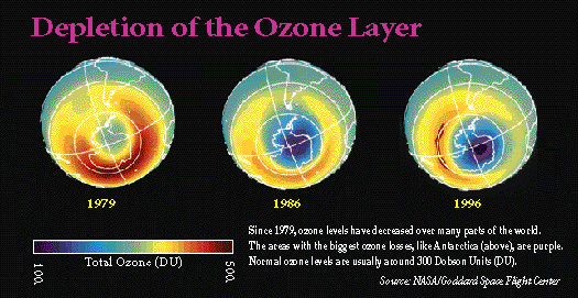 Ozone depletion CFC's human-caused disruption.png