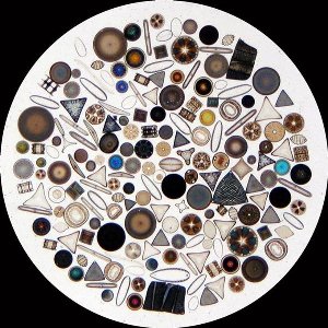 Phytoplankton m.jpg
