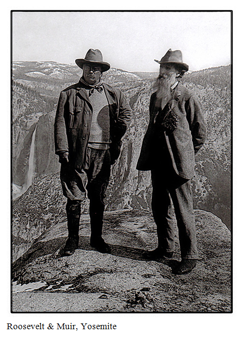 Roosevelt and Muir at Yosemite.png