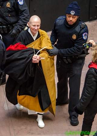 Roshi Joan Halifax arrested in climate protest.jpg