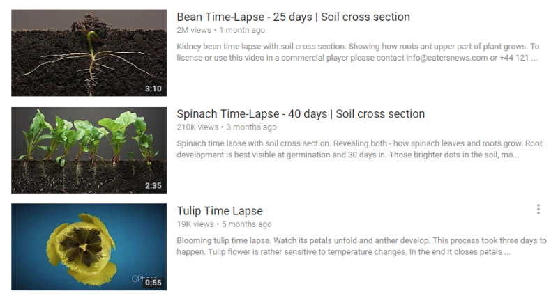 Seeds, time lapse.png