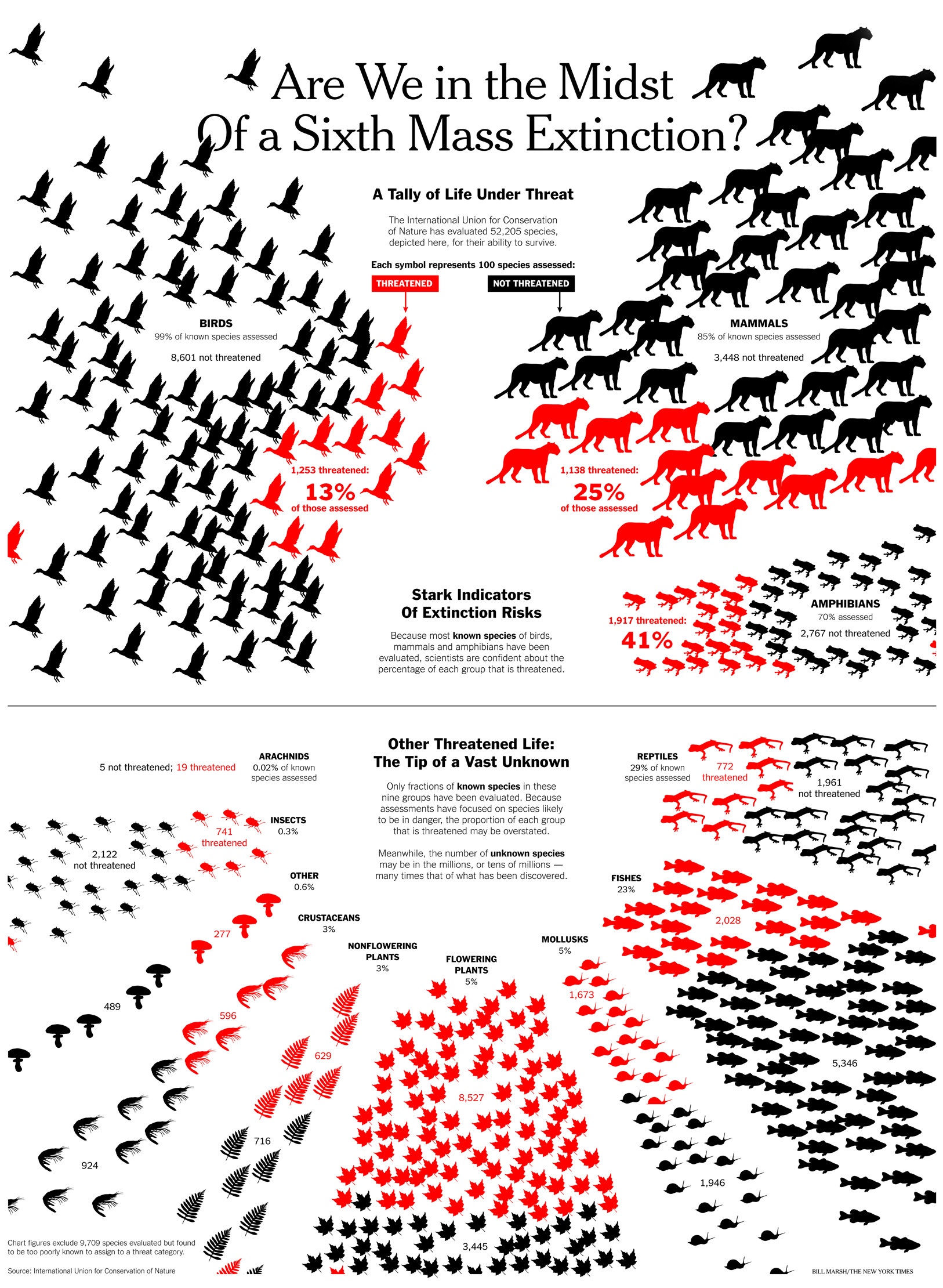 Sixth Mass Extinction infograph-NYT.jpg