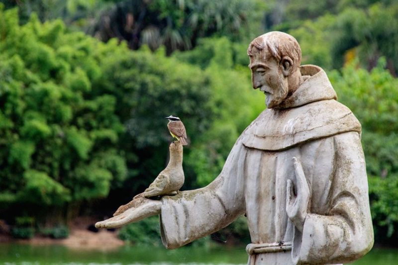 St Francis at the São Paulo Zoo 2018 - wiki commons.jpg