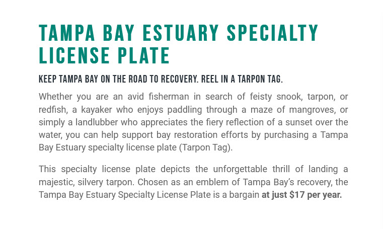 Tampa Bay Estuary License Plate.jpg