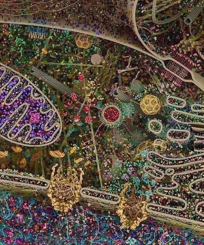 Tiny Little Ones... Inner Life of a Cell.jpg