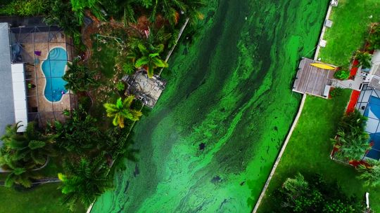 File:Turning the Toxic Tide-Florida.jpg