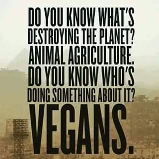 File:Vegans and animal agriculture.jpg